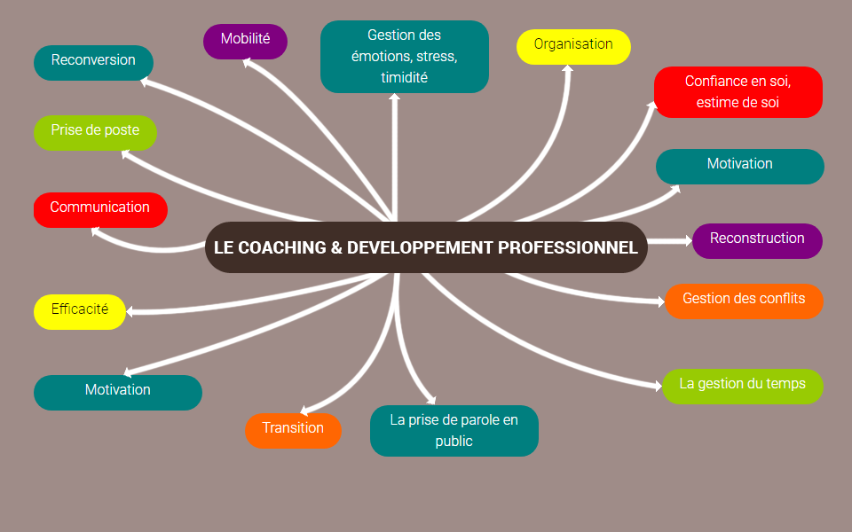 coaching et developpement preofessionnel