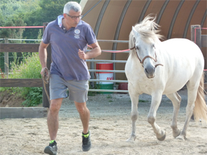 formations seminaires seances ateliers avec le cheval pour mediateur particuliers et entreprises