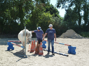 formations seminaires seances ateliers avec le cheval pour mediateur particuliers et entreprises