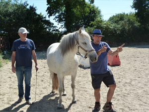 formations seminaires seances ateliers avec le cheval pour mediateur particuliers et entreprises