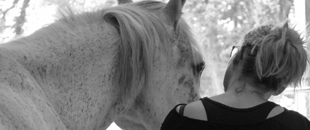 mediation cheval coach finistere