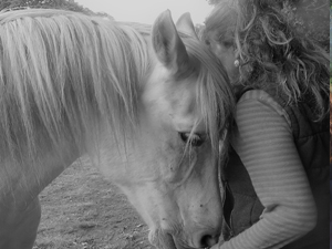 formations seminaires seances ateliers avec le cheval pour mediateur particuliers et entreprises