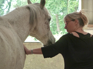 formations seminaires seances ateliers avec le cheval pour mediateur particuliers et entreprises