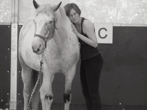 formations seminaires seances ateliers avec le cheval pour mediateur particuliers et entreprises