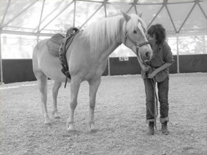 formations seminaires seances ateliers avec le cheval pour mediateur particuliers et entreprises